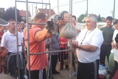 img_20120901_180424